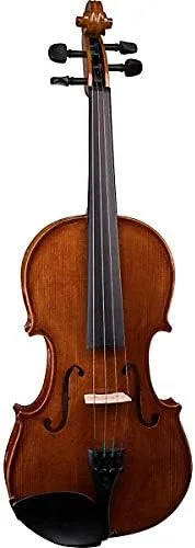 Stentor Student II student violin outfit